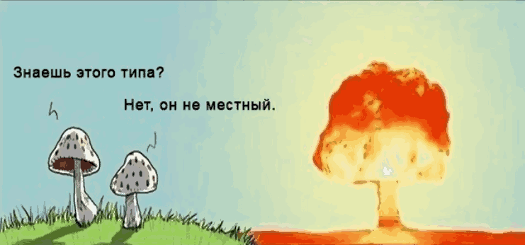 Гриби